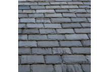 Burlington 20in Westmorland Slate Random Green