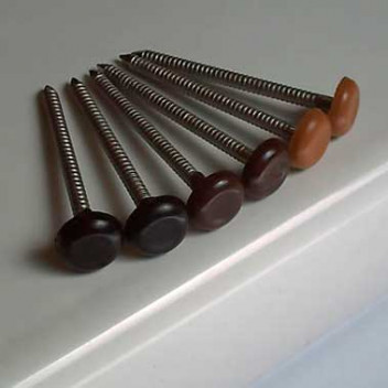 Fasten-It 30mm Plastic Top Pins BL1 Black (250)