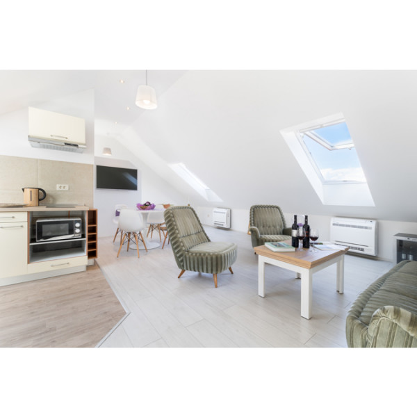 Velux GPU White Double Glazed Roof Window UK08